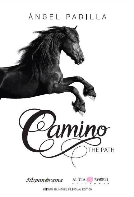 Camino - The Path    